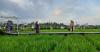 Svargabumi Magelang, Destinasi Instagramable di Tengah Sawah Berlatar Borobudur