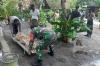 Tragis, Kakek di Kulonprogo Tewas Terjatuh dari Pohon Kelapa 