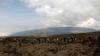Kebakaran Lahan Landa Gunung Tertinggi di Afrika Kilimanjaro