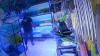 Aksi Pencurian Terekam CCTV, Pelaku Masukkan Ikan Lohan ke Kantong Celana