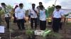 200 Petani Porang di Babel Akan Kontrak KUR untuk Membantu Permodalan