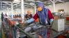 Penampakan Pasar Ikan Modern Pertama di Pulau Sumatera