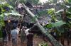  Puting Beliung di Gunungkidul Rusak 52 Rumah dan 1 Roboh