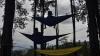 Kawasan Hutan Pinus Darmacaang Diserbu Wisatawan usai Dibuka Kembali - Bagian 2