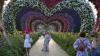 Jutaan Bunga Cantik Menyelimuti Pesawat Airbus A380 di Dubai Miracle Garden - Bagian 4