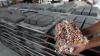 Paving Block Berbahan Sampah Plastik, Dijual Rp95.000 per Meter Persegi - Bagian 1