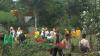 Tumbuhkan Potensi Agrowisata, Pemprov Lampung Kembangkan PKK Agropark Jadi Wisata Edukasi Keluarga