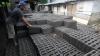 Produksi Batako Turun saat Pandemi Covid-19 - Bagian 1