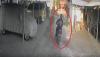 Viral Aksi Pencurian Motor Modus Hipnotis di Bali Terekam CCTV