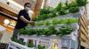 Pameran Budi Daya Tanaman Hidroponik Urban Garden - Bagian 5