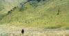 5 Sabana Terindah di Pegunungan Indonesia, Nomor 4 Sebelahan dengan Merapi