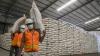 Bulog Sumut Targetkan Beli 27.000 Ton Beras Petani di 2021