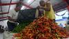Harga Cabai Naik Jadi Rp30.000 per Kg di Jember
