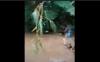Satu Keluarga di Banyuwangi Terseret Banjir Bandang, Ibu Meninggal, Balita Hilang