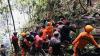 Anggota Flora Fauna Internasional Tenggelam di Sungai saat Pantau Harimau di Jambi