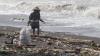 Pantai Trisik Yogyakarta Dipenuhi Sampah dari Muara Sungai Progo