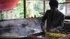 Gaya Para Pembuat Tahu Memakai Setelan Jas Berdasi Bak Pekerja Kantoran - Bagian 4