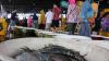 Jelang Malam Tahun Baru, Pasar Ikan Muara Angke Dipadati Pembeli - Bagian 3