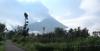 Siang Ini Guguran Awan Panas Merapi Muncul dengan Ketinggian 200 Meter