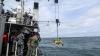 TNI AL Terjunkan Robot Bawah Laut Cari Korban dan Serpihan Pesawat Sriwijaya Air - Bagian 3