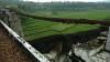 Penampakan Jembatan Rel Kereta Api Sepanjang 50 Meter Ambruk di Brebes - Bagian 2