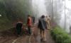 Pascalongsor, Jalur Menuju Objek Wisata Gunung Bromo Kembali Bisa Dilalui 