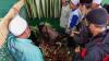 Makam Habib Ali bin Abdurrahman Assegaf Didatangi Ratusan Pelayat - Bagian 1