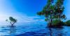 5 Destinasi Favorit di Sulawesi Barat, Salah Satunya Ada Pantai Gonda yang Eksotis