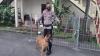 Anjing Penemu Mayat Korban Tanah Longsor Dapat Apresiasi dari Komunitas di Manado  