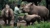Azsyifa, Anak Badak Putih Tambah Koleksi Taman Safari Indonesia - Bagian 3
