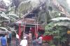 Angin Kencang Landa Kulonprogo, Puluhan Pohon Tumbang dan Timpa Rumah Warga