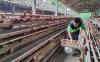 Harga Telur Ayam di Kulonprogo Menggelinding Turun, Peternak Terancam Merugi