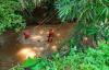  3 Santri Seberangi Sungai Kalibebeng Batang, 1 Tenggelam Terbawa Arus