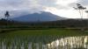 Suara Gemuruh Gunung Raung Terdengar Warga Jember