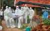 Data WHO: Virus Nipah Hanya Menginfeksi 600 Orang dalam 17 Tahun