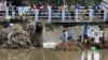 Antisipasi Banjir Bandang Susulan, Warga Pasuruan Angkut Puing dari Sungai  - Bagian 1