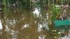 Tanggul Sungai Apoor Jebol, Banjir Rendam 90 Rumah dan Sawah di Pangandaran