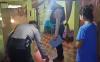 Jual Miras Jenis Ballo, Emak-Emak di Wajo Digerebek Petugas 