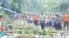 Jalur Jember-Banyuwangi Macet Total Gara-Gara Pohon Tumbang di Kawasan Gumitir