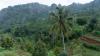 Jelajah Wisata Geologi Gunung Api Purba Nglanggeran - Bagian 2