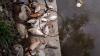 Puluhan Ikan Ditemukan Mati di Sungai Deli, Diduga akibat Limbah Pabrik