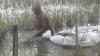 Ratusan Hektare Padi dan Tambak Rusak akibat Banjir, Petani Demak Rugi Miliaran Rupiah   
