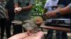 Berantas Hama, 75 Burung Prenjak Dilepas ke Hutan Wisata Djawatan Banyuwangi - Bagian 1