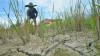 50 Hektare Sawah di Karawang Gagal Panen, Petani Nunggak Utang Modal Tanam