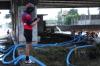 Banjir Semarang Surut, Ganjar Pranowo Minta Kali Babon Dinormalisasi