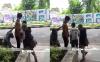 Aksi Kawanan Copet Alun-alun Bandung Direkam Warga, Videonya Viral