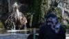 Tunggu Izin Buka, Taman Margasatwa Ragunan Siapkan Protokol Kesehatan