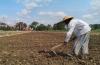 Alih Fungsi Lahan Meningkat, Dinas Pertanian Kulonprogo Cetak Sawah Baru Seluas 50 Hektare