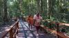Mengamati Satwa Endemik Papua dari Jembatan Sepanjang 3,2 Km di Hutan Klaso - Bagian 1