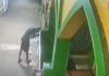 Video Aksi Pencurian Kotak Amal di Ciracas Terekam CCTV